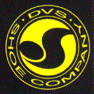 dvs_shoes2013.jpg