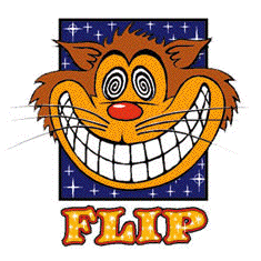 flip.gif