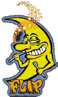 flip10.jpg