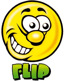 flip9.jpg
